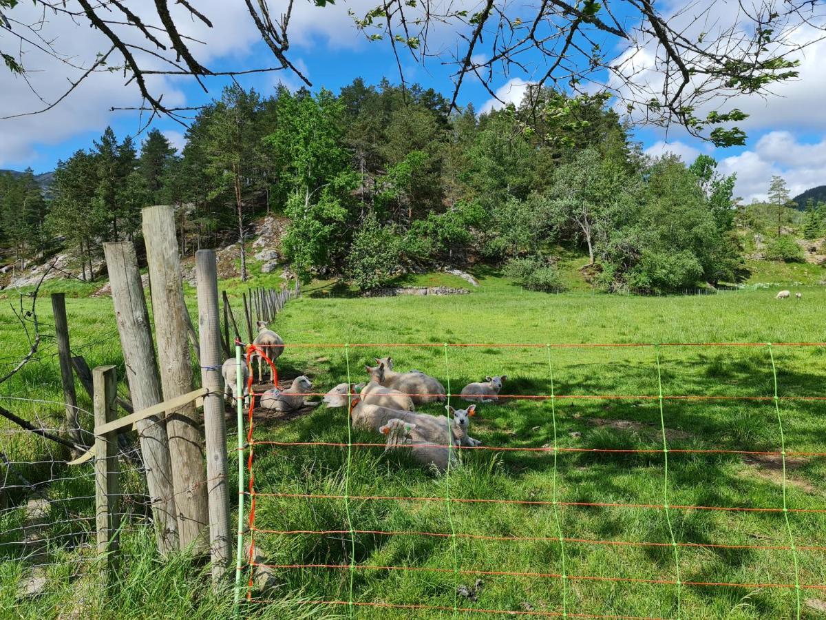 Hygge Pa Fjellet Villa Øyuvstad Exteriör bild