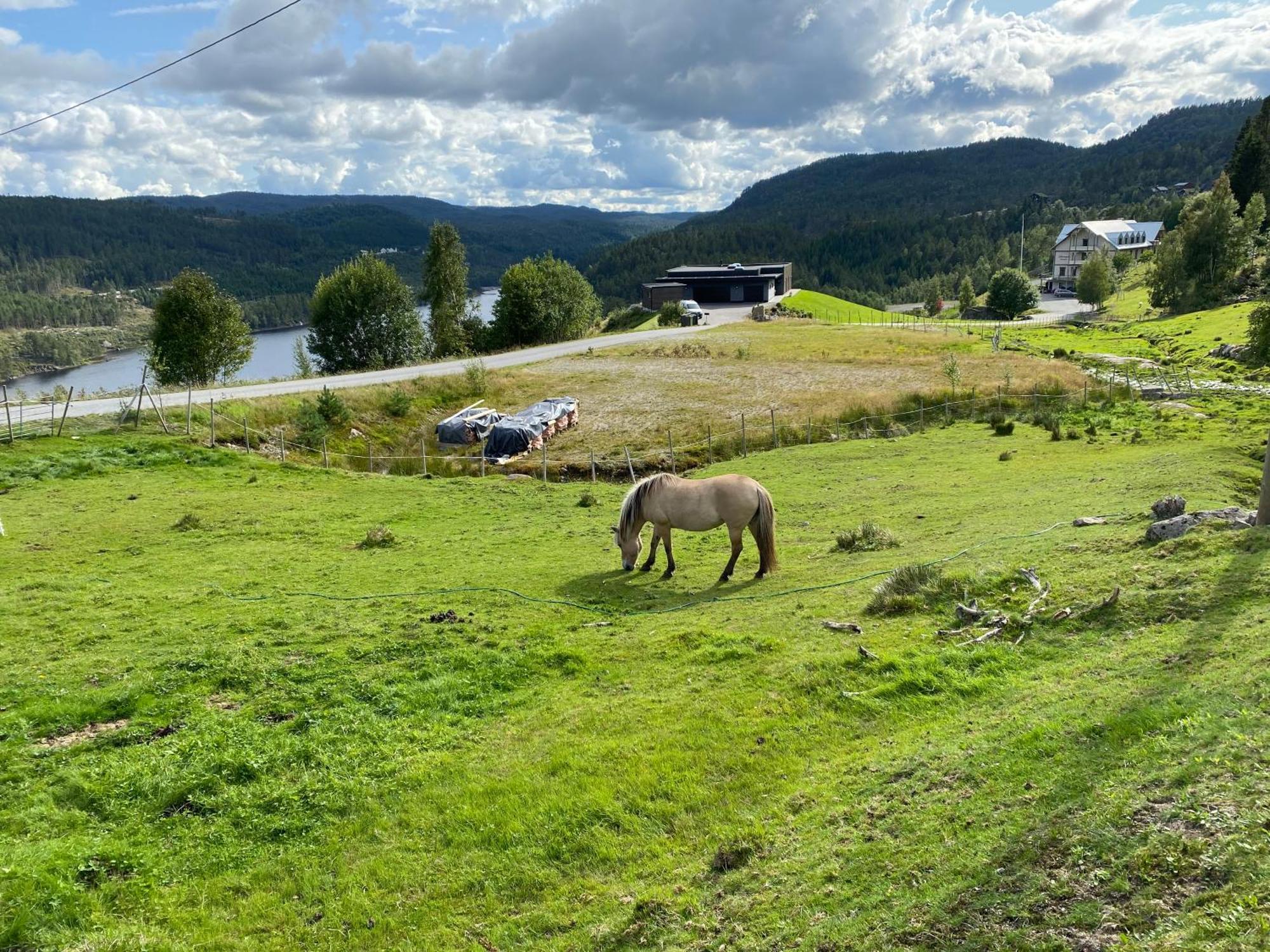 Hygge Pa Fjellet Villa Øyuvstad Exteriör bild